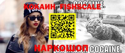 крисы Новодвинск