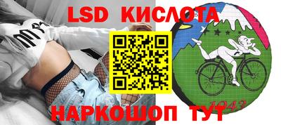 крисы Новодвинск