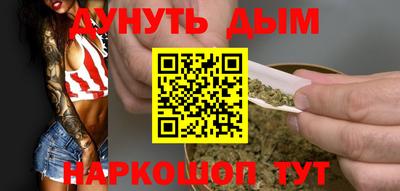 крисы Новодвинск