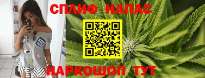 крисы Новодвинск